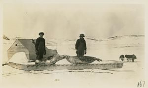 Image of Black Island- Willis and Joe Ford- Two Harp Seals